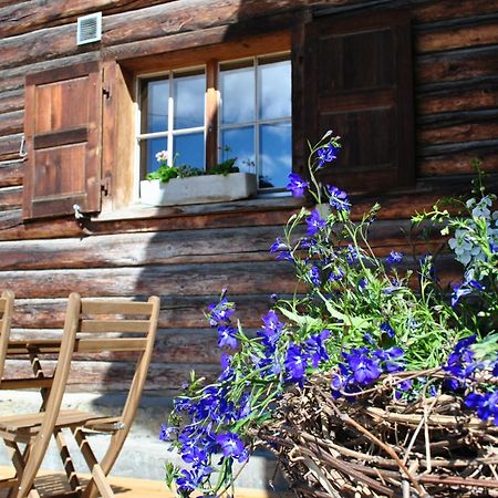 Apartamento Hof Surri Schiers Exterior foto